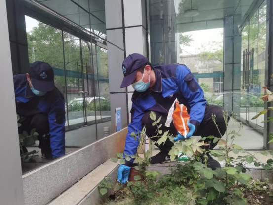 消杀公司告诉你灭鼠小知识